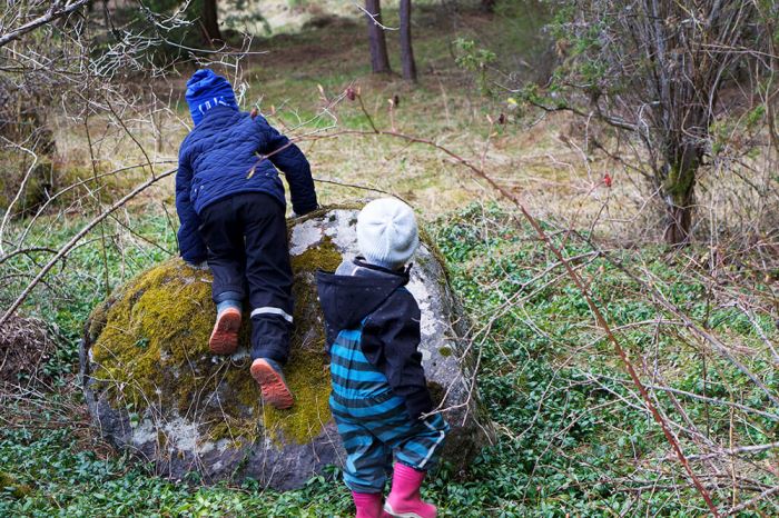 Barnen i skogen