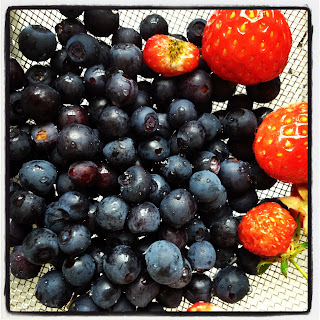 blabar-4 - Bärsymfoni till frukost