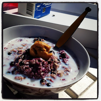 blabarsgrot - Blåbär och lingon