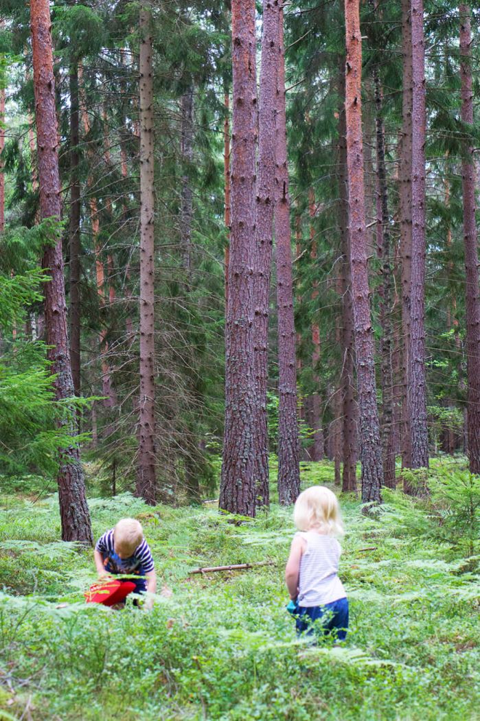 Barnen i blåbärsskogen