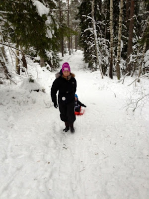 blogger-image-1153277334 - Mysig vinterdag