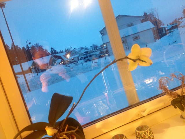 blogger-image-1432621943 - Förberedd för vinterspring