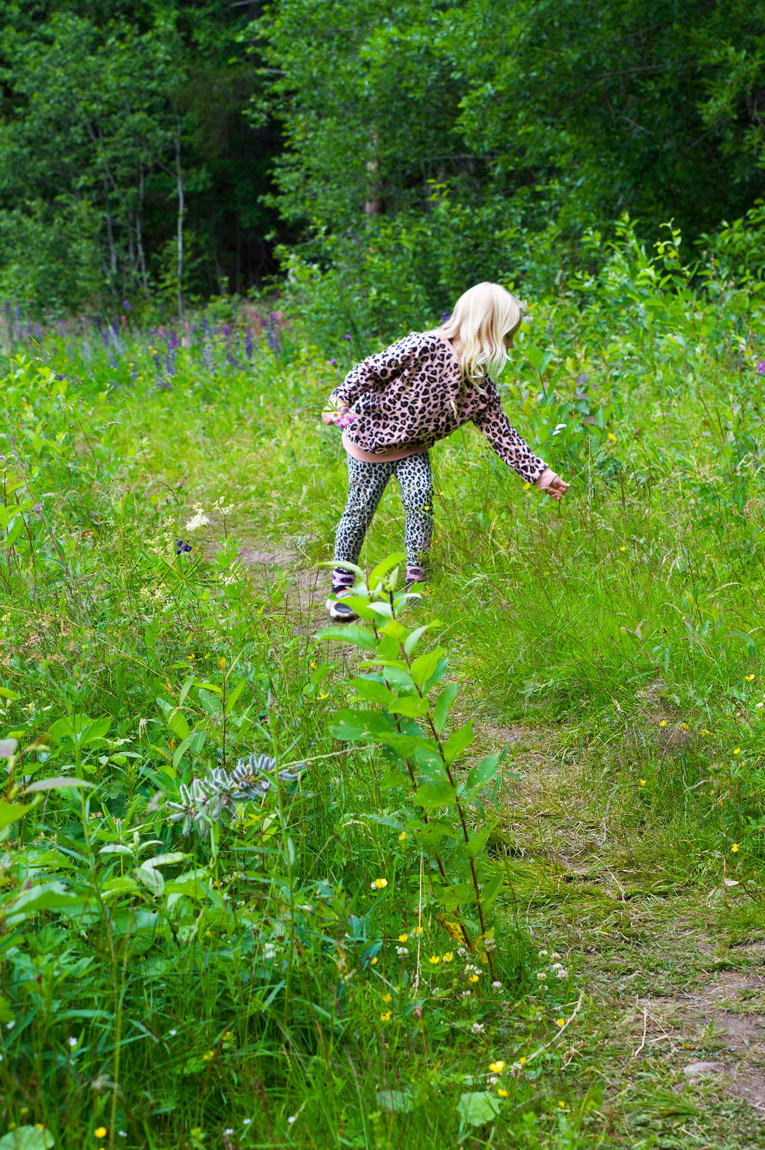 Blomplockarpromenad vid Skuleberget