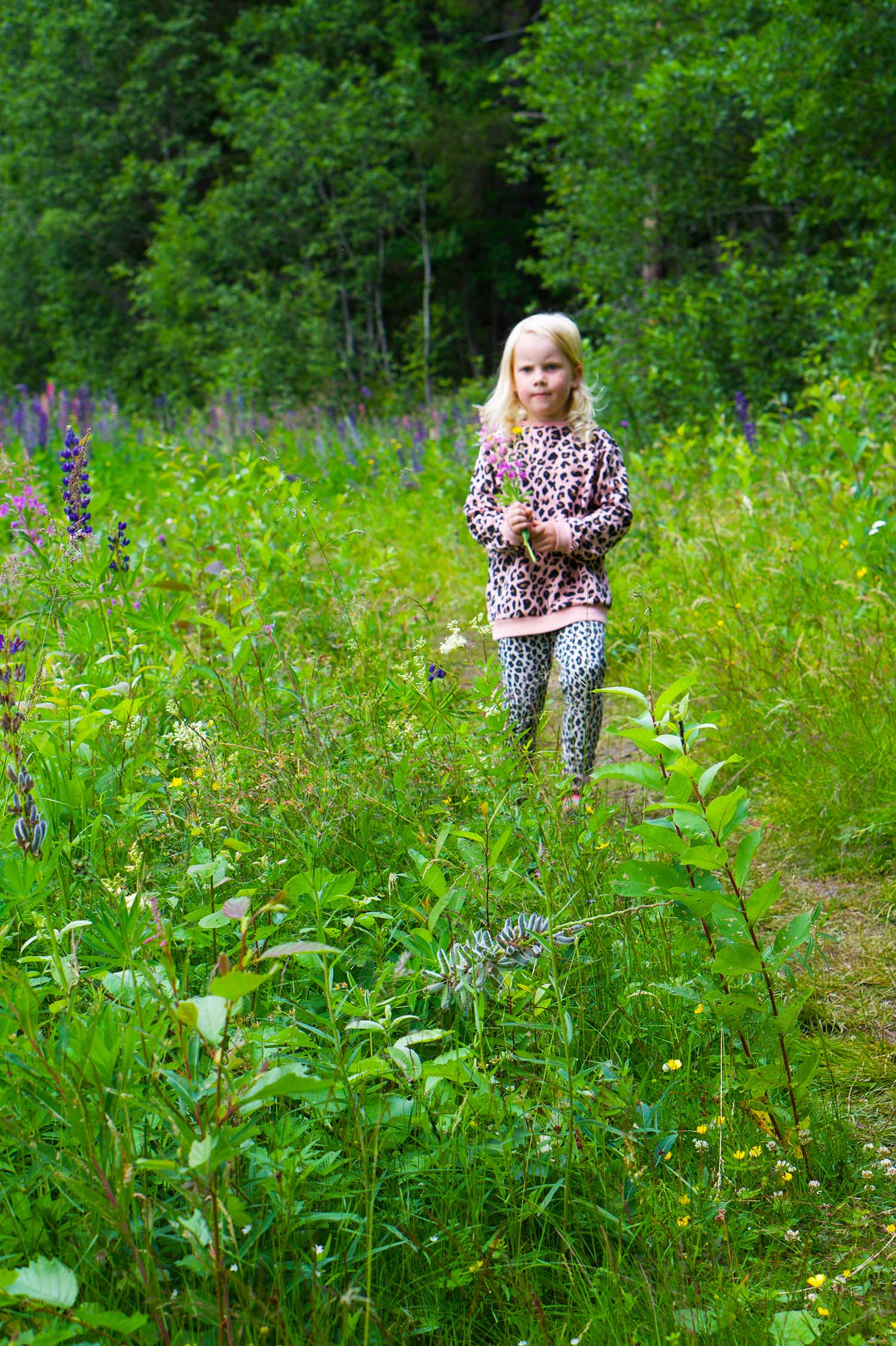 Blomplockarpromenad vid Skuleberget