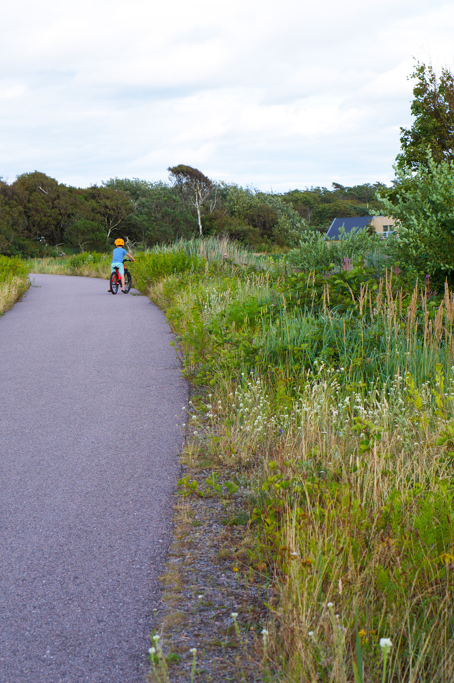 Blomplockarpromenad med barn