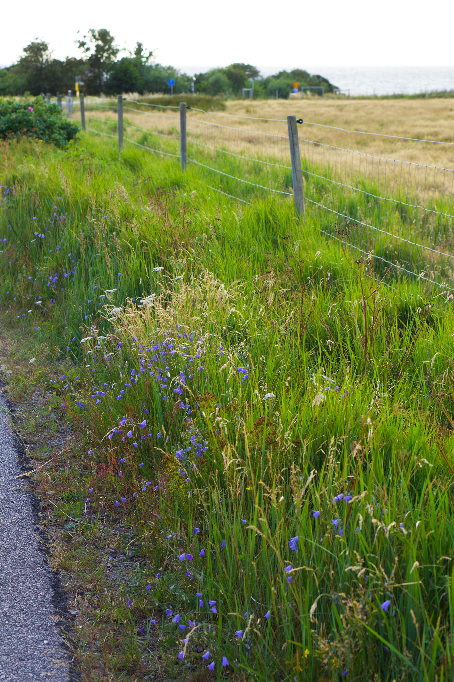 Blomplockarpromenad med barn
