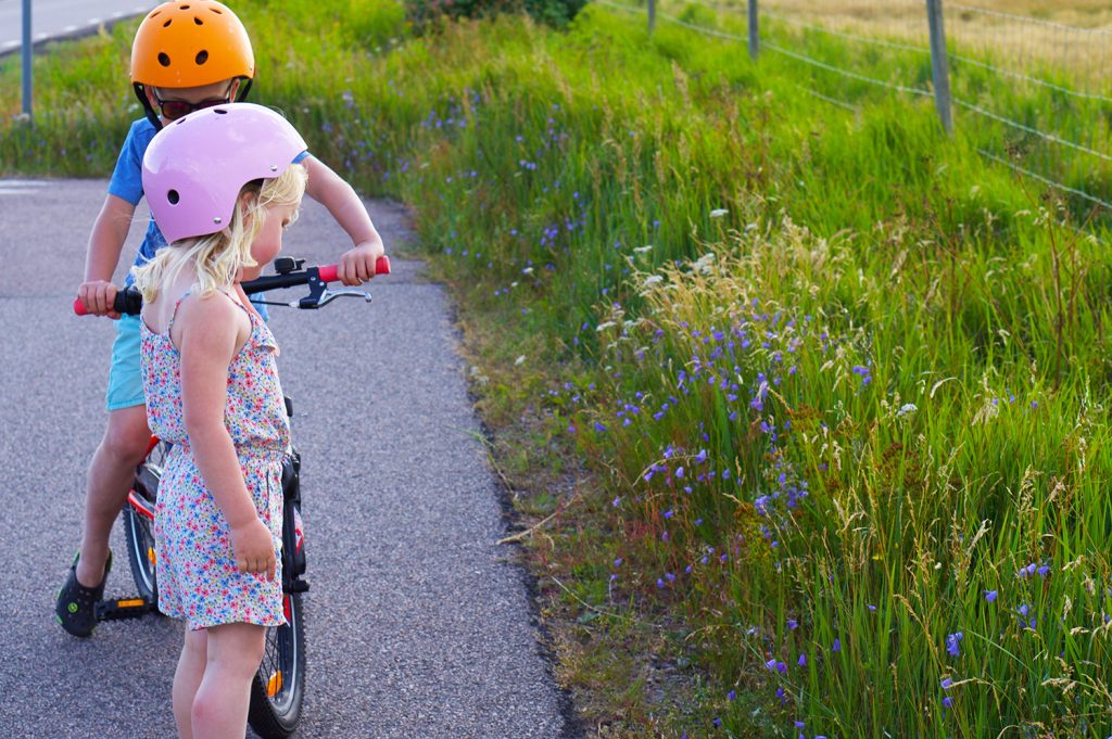 Blomplockarpromenad med barn