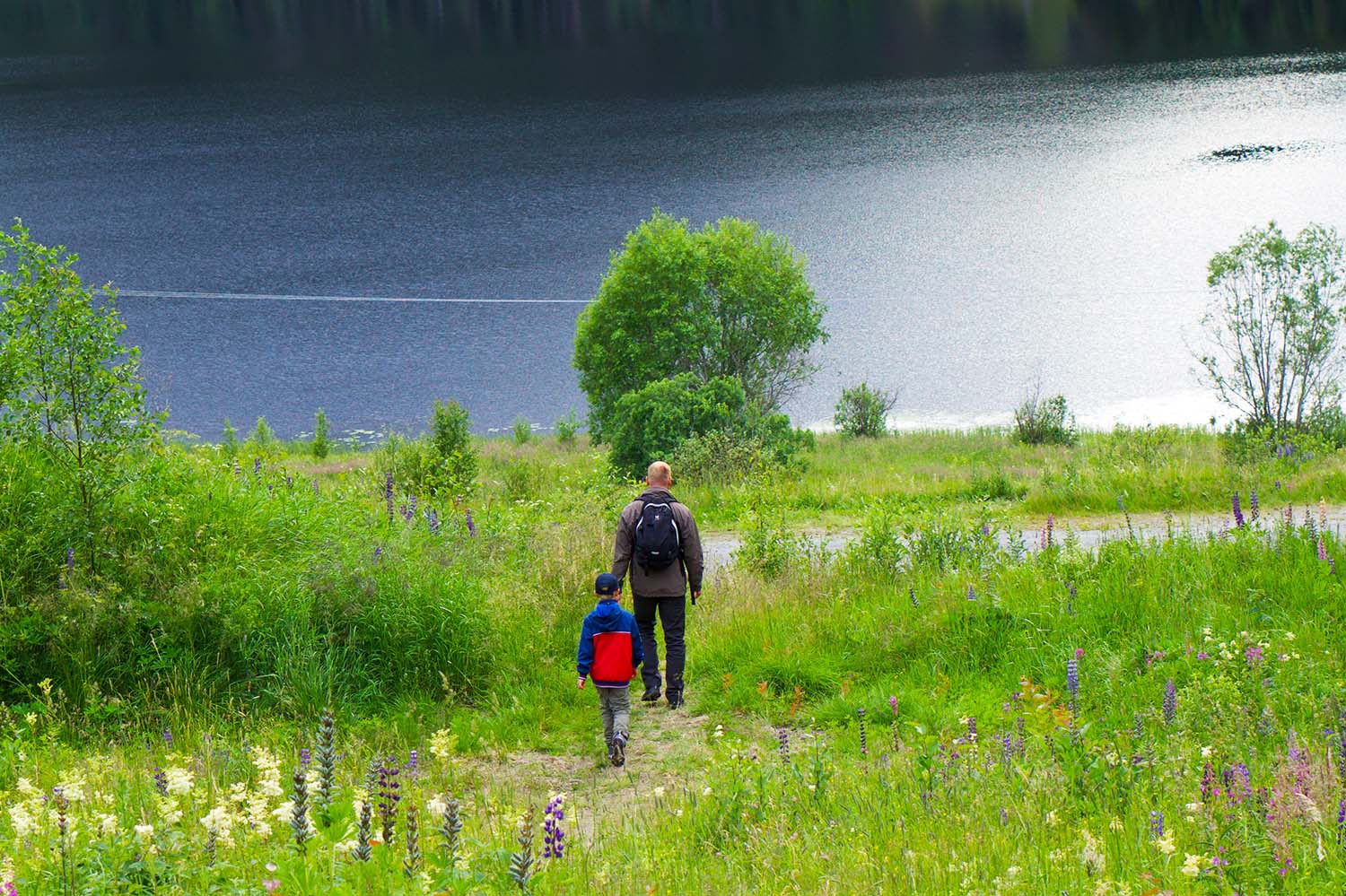 Blomplockarpromenad vid Skuleberget