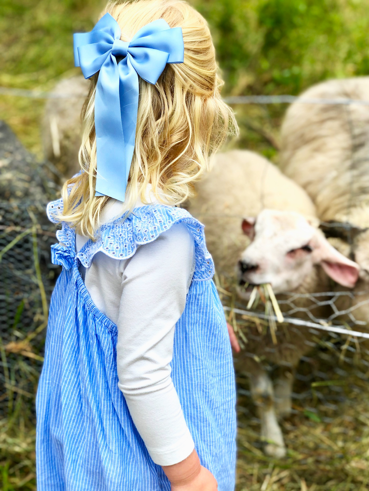 Bullerbyn i Småland