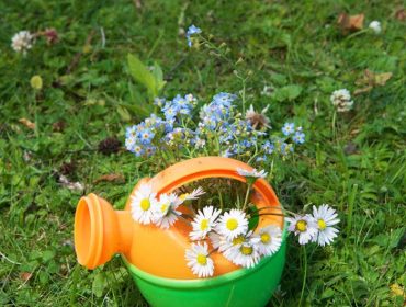 campingplats-i-tyskland-2