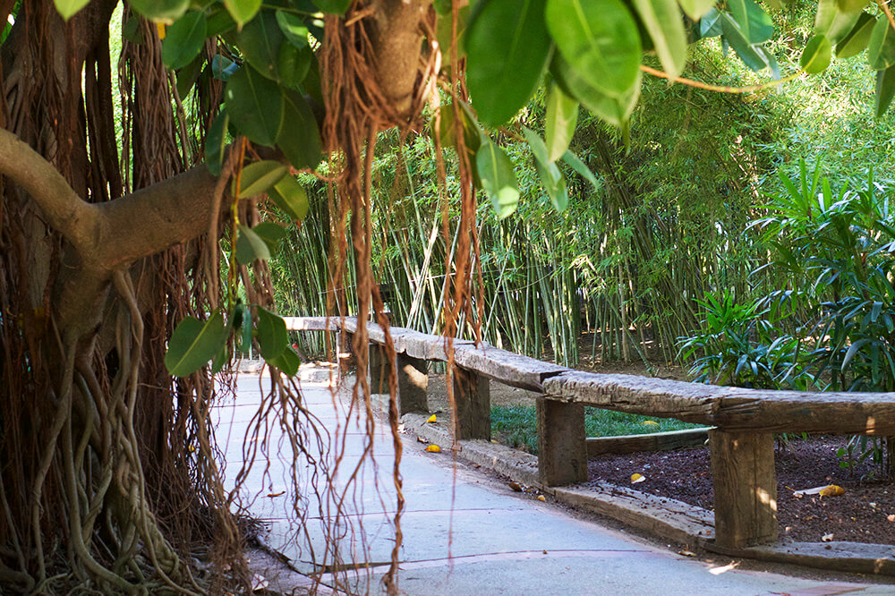 Hotell Club Salima Turkiet