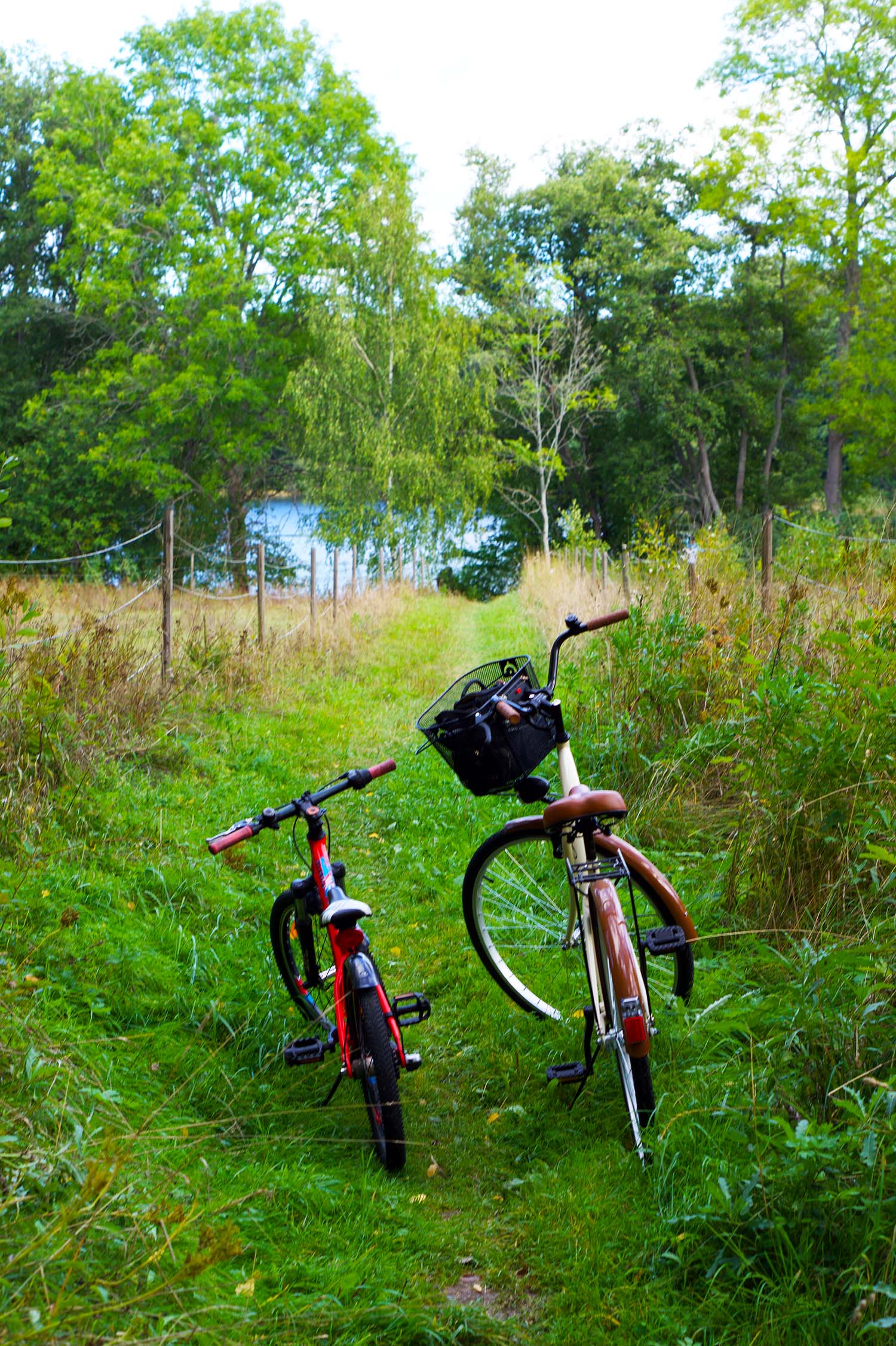 Cykeltur till hästen