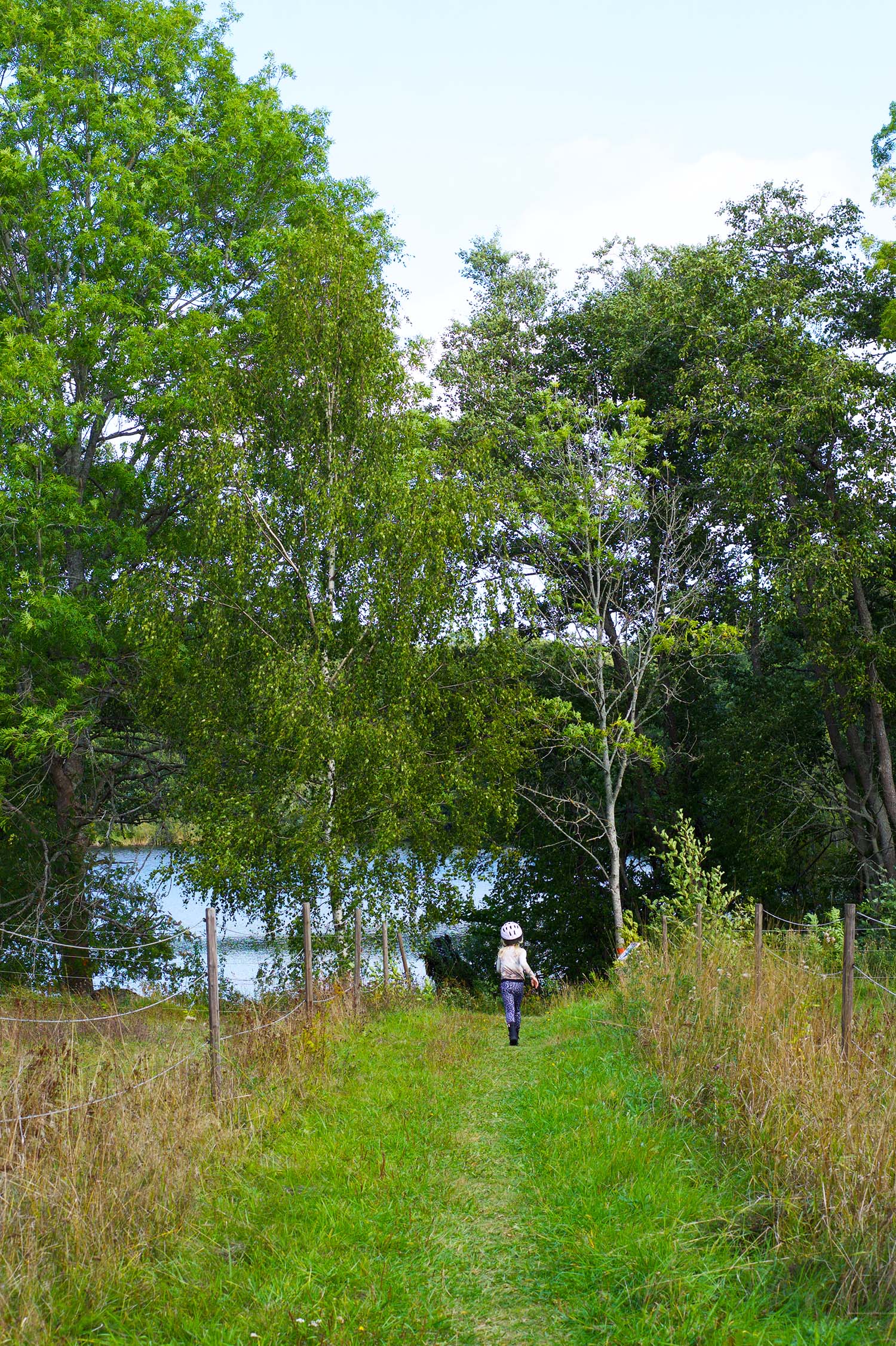 Cykeltur till hästen