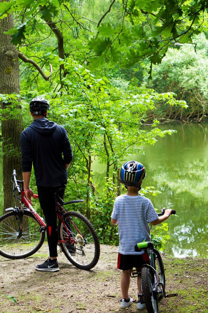 Cykling till en skog och en sjö