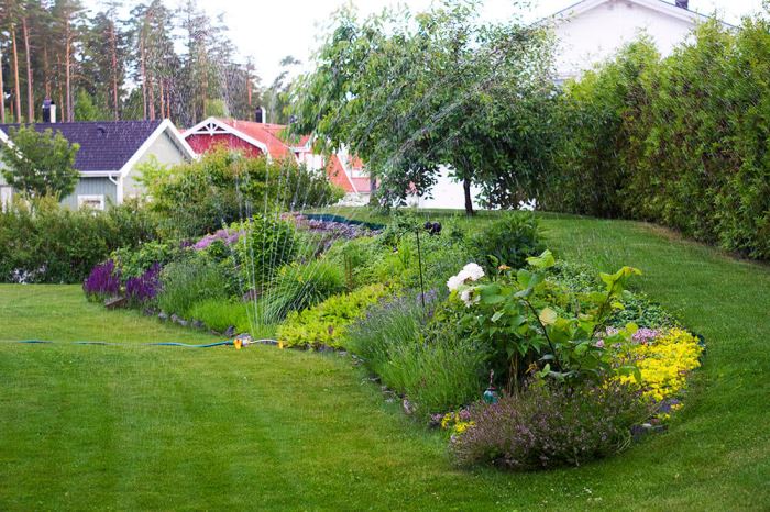 Vacker plantering i trädgården