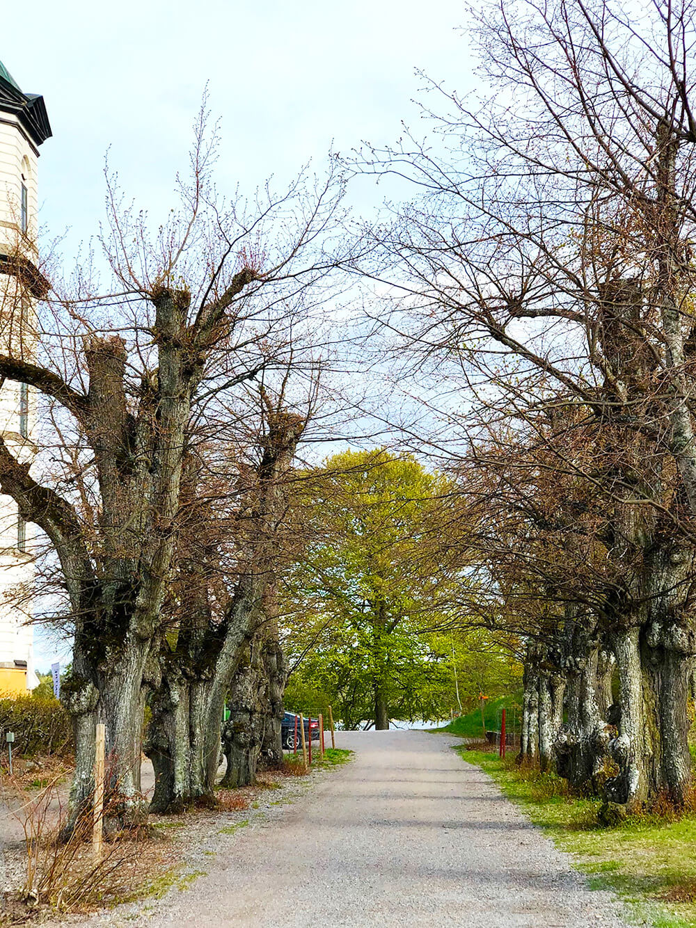 det-blev-inte-som-vi-hade-tankt-5-skokloster - Det blev inte som vi hade tänkt oss...