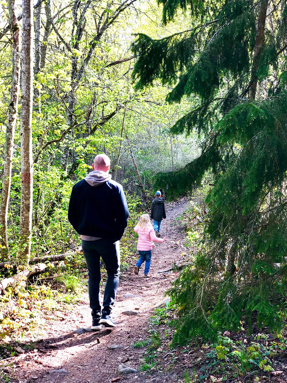 Skogspromenad i Skokloster