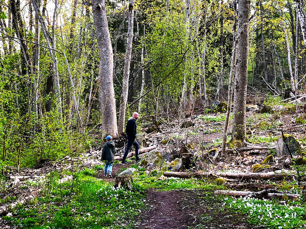det-blev-inte-som-vi-hade-tankt-7-skokloster - Det blev inte som vi hade tänkt oss...