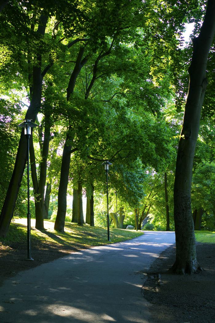 djurgarden