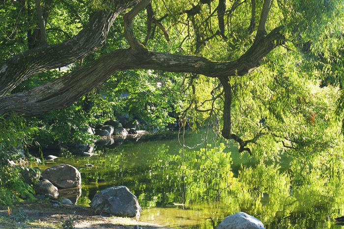 djurgarden