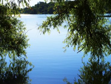 djurgarden-morgon-6
