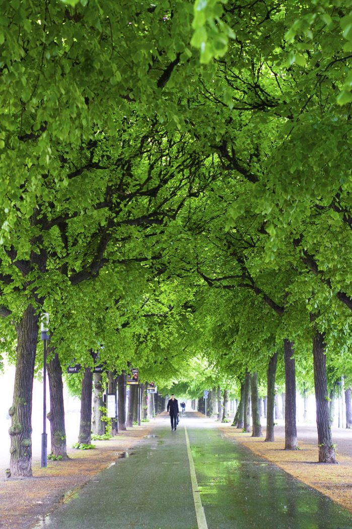 djurgarden-promenad1