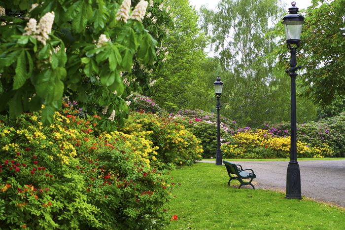 djurgarden-promenad2