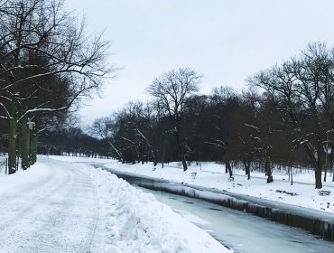 djurgarden-vinter-lopning-1