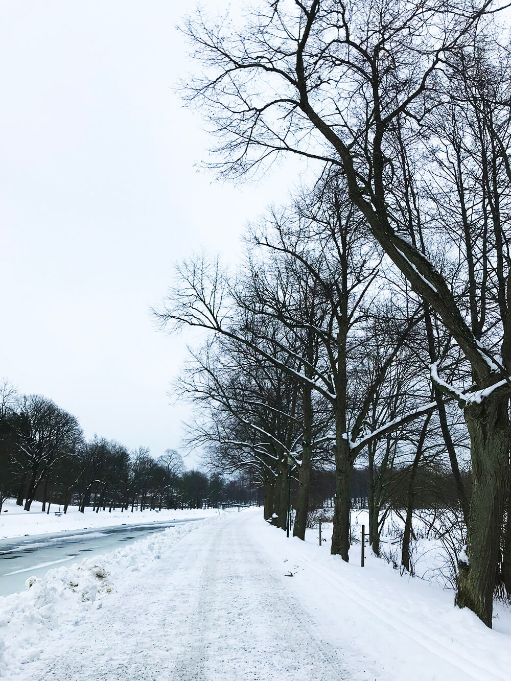 Vinterlöpning på Djurgården