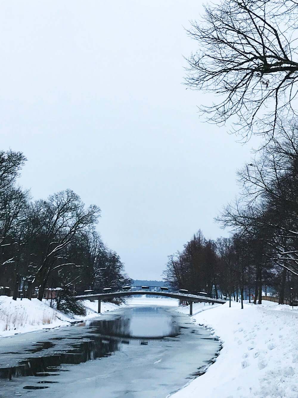 Vinterlöpning på Djurgården