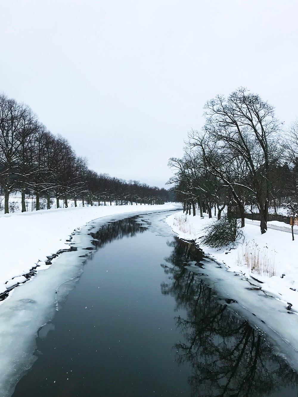 Vinterlöpning på Djurgården