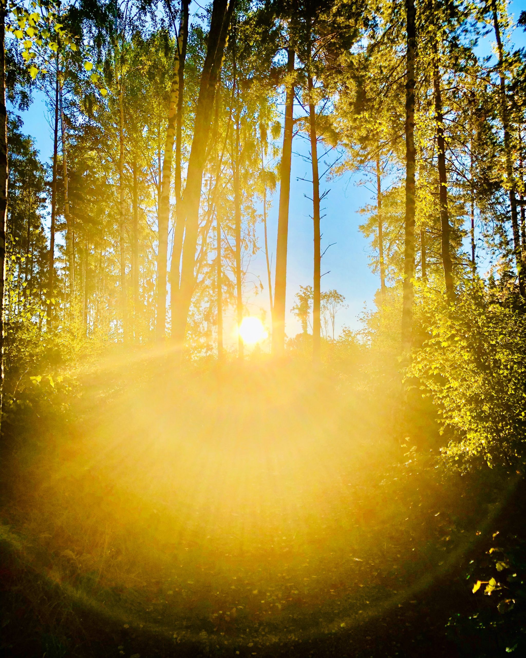 e9b21918-9521-4bc0-b7c9-39271b314d11-1-scaled-1 - Veckans Bästa ♥