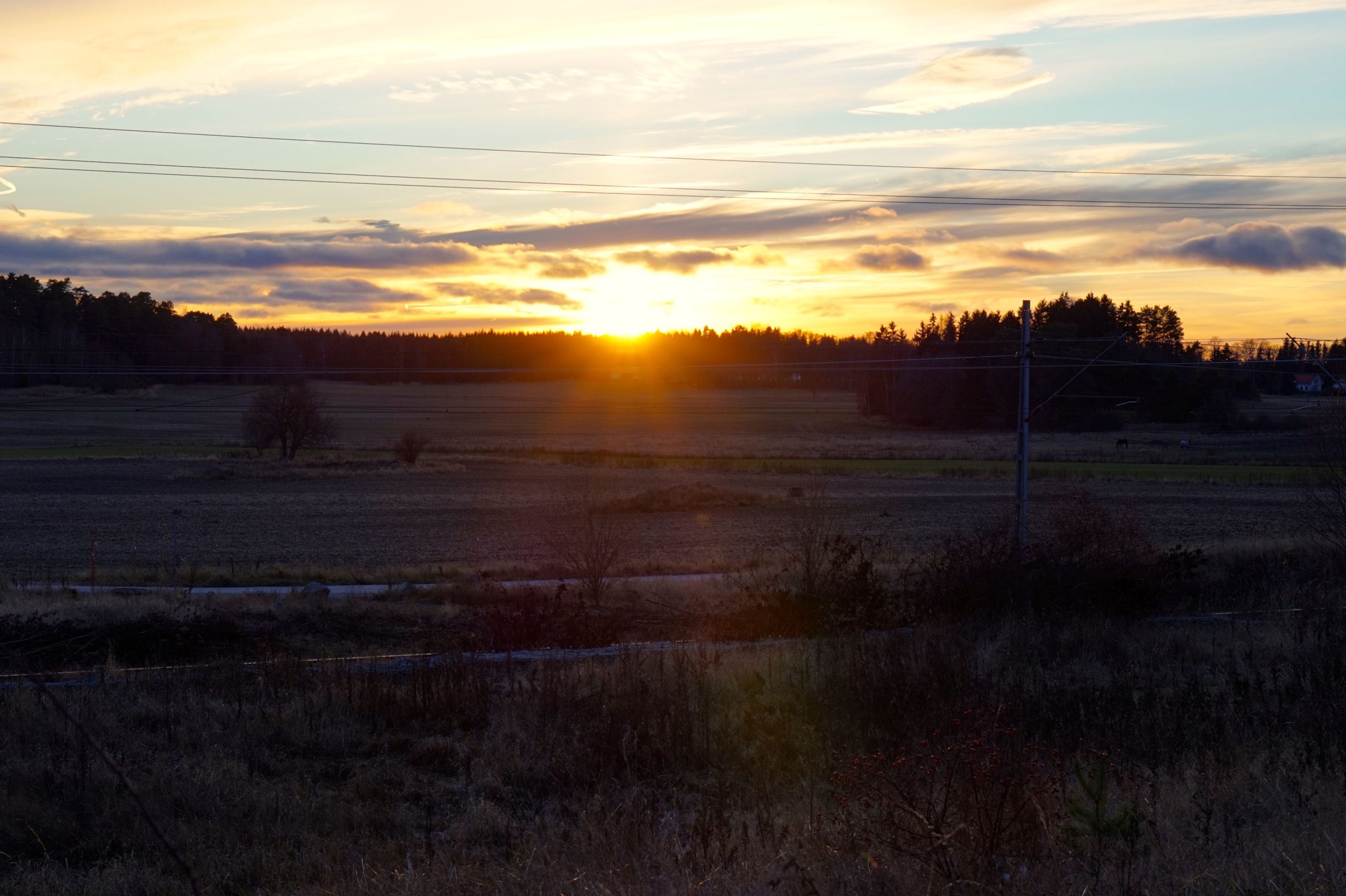eftermiddagssol-scaled - Novemberpepp!