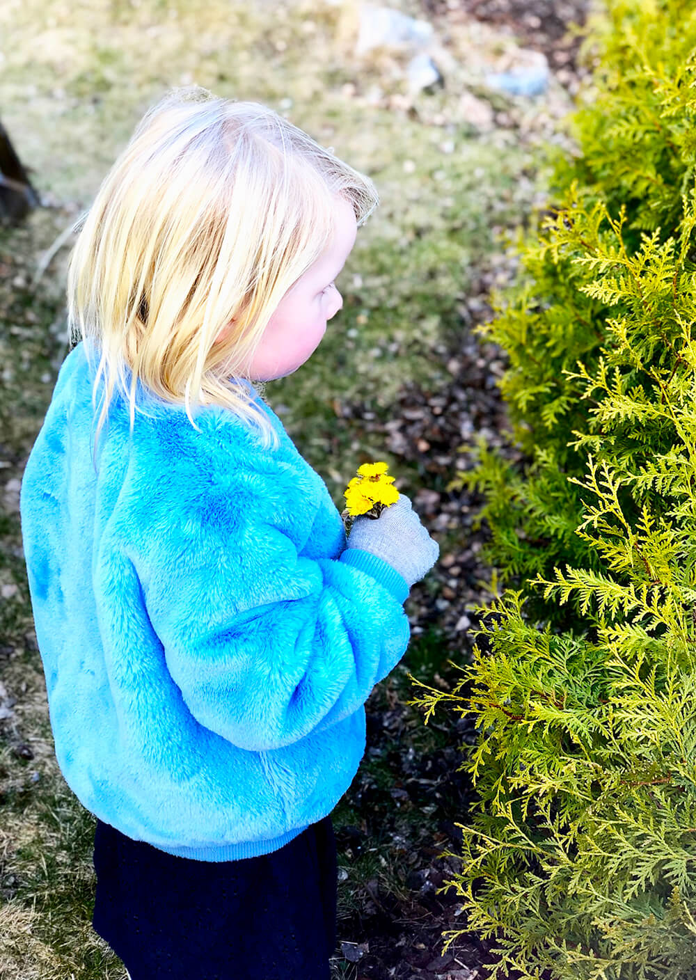 en-berg-och-dalbana-av-kanslor-2 - En berg- och dalbana av känslor