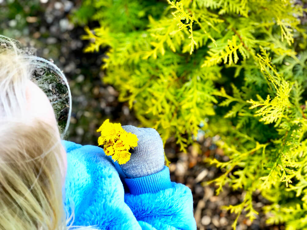 en-berg-och-dalbana-av-kanslor-3 - En berg- och dalbana av känslor