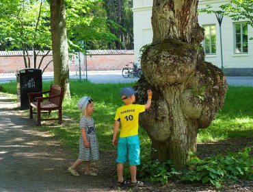 en-getaway-till-uppsala-1