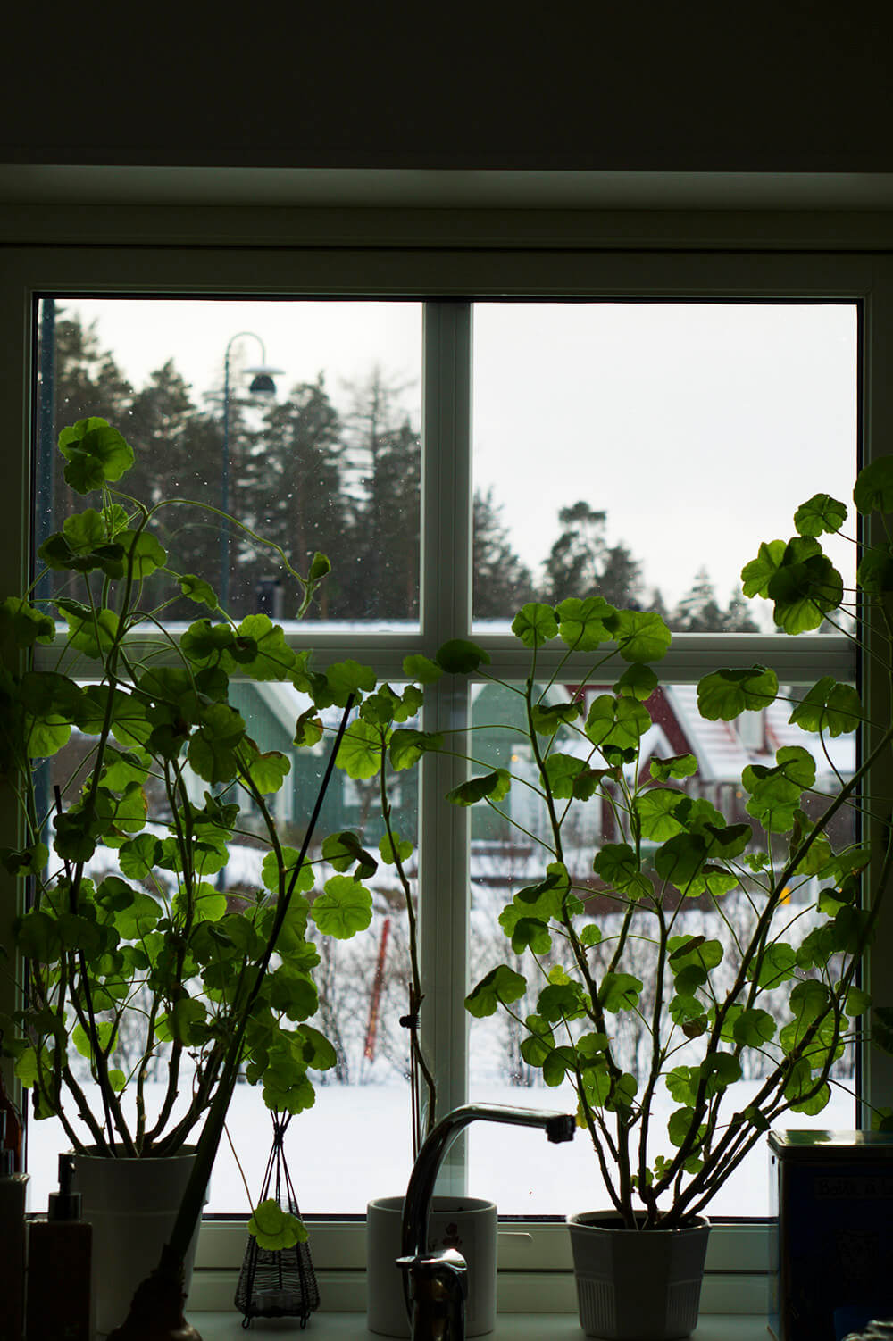 En lördag i februari