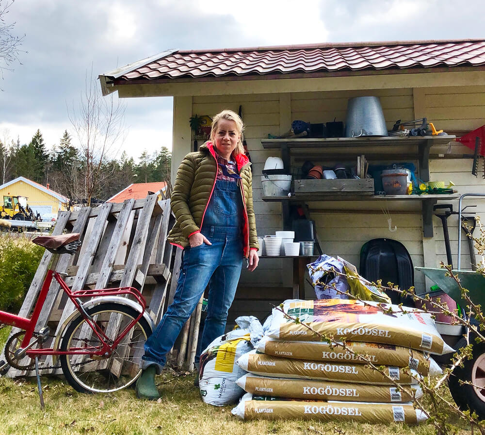 Förkultivera dahlior - ett inlägg om hur jag förodlade mina dahlior