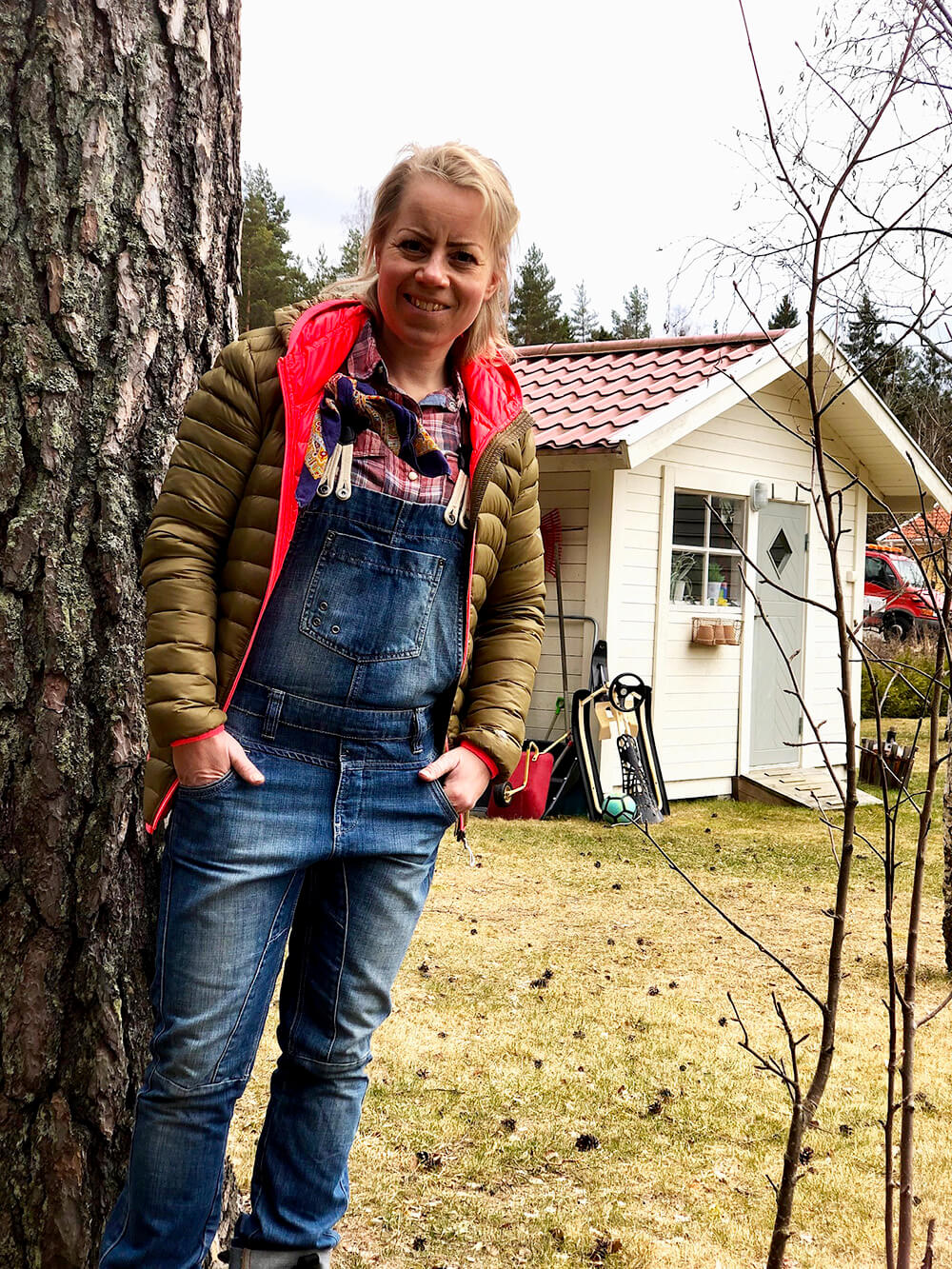 forkultivera-dahlior-8 - Förkultivera dahlia - så här gör du!