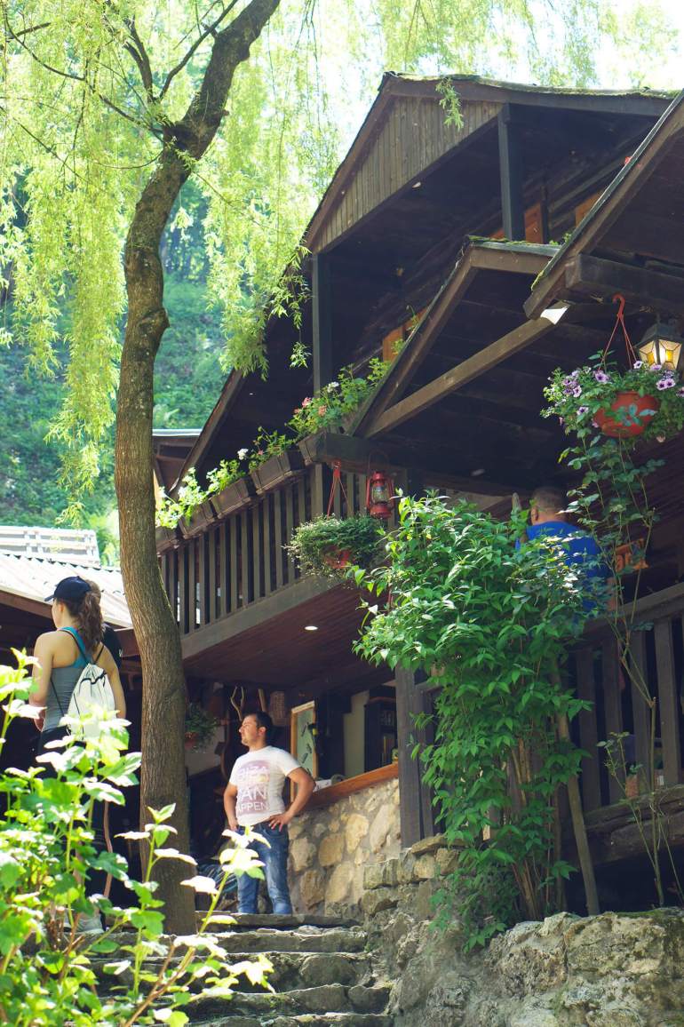 forsranning-i-montenegro-4 - Utloggade vid en fors i Montenegro