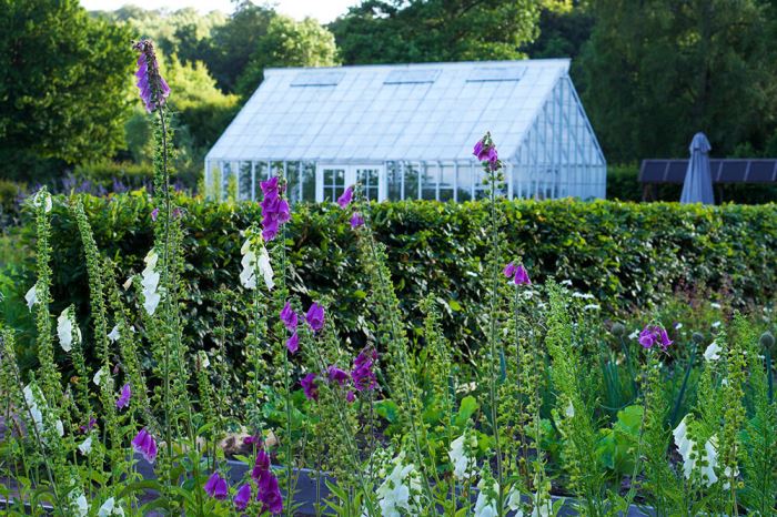 Blomsterträdgård vid Hovdala slott i Skåne