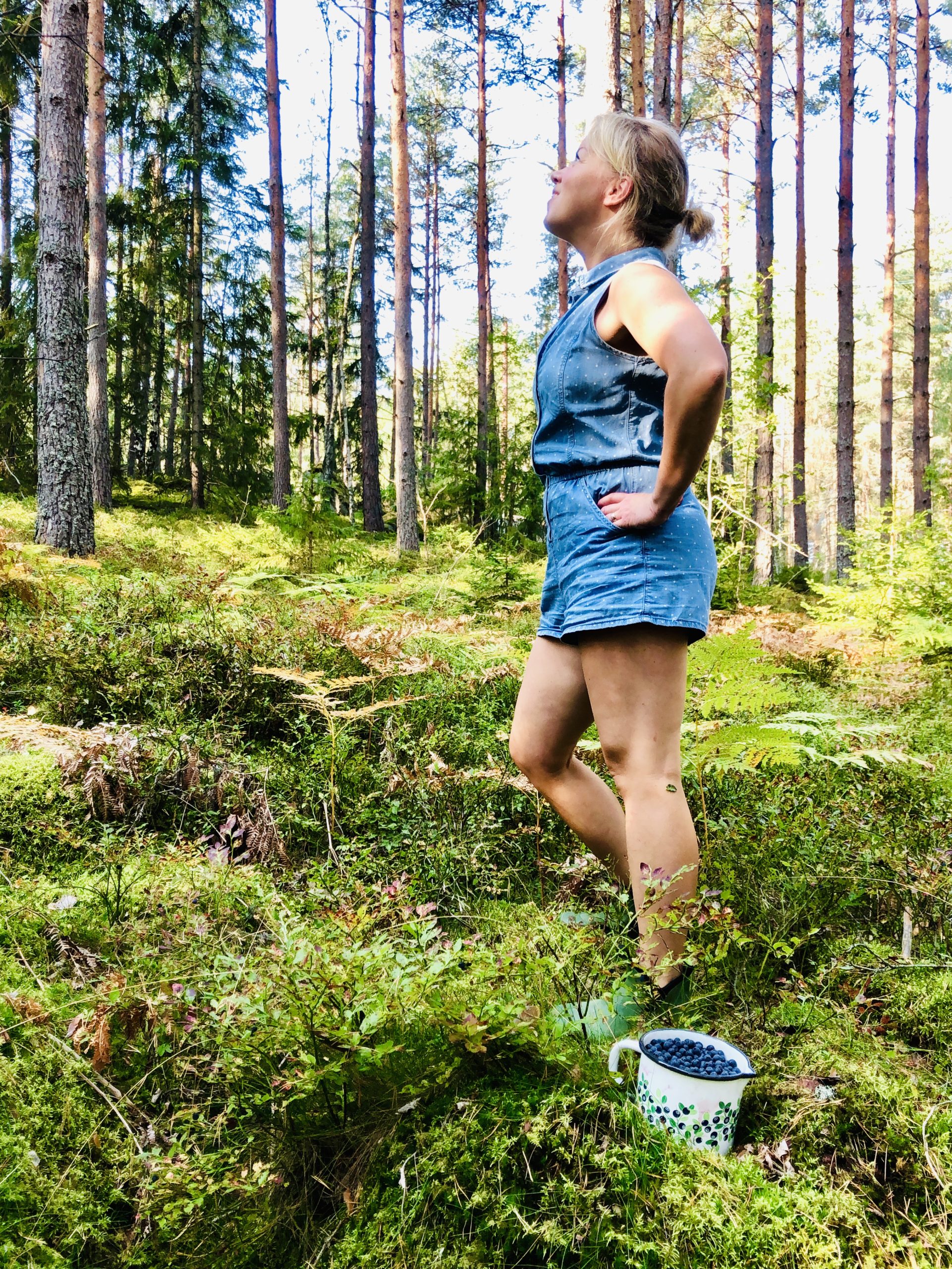 Blåbärsplock i skogen