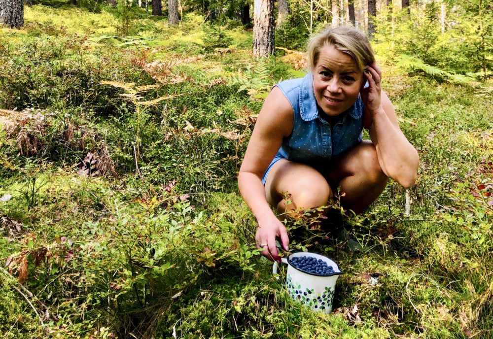 Blåbärsplock i skogen