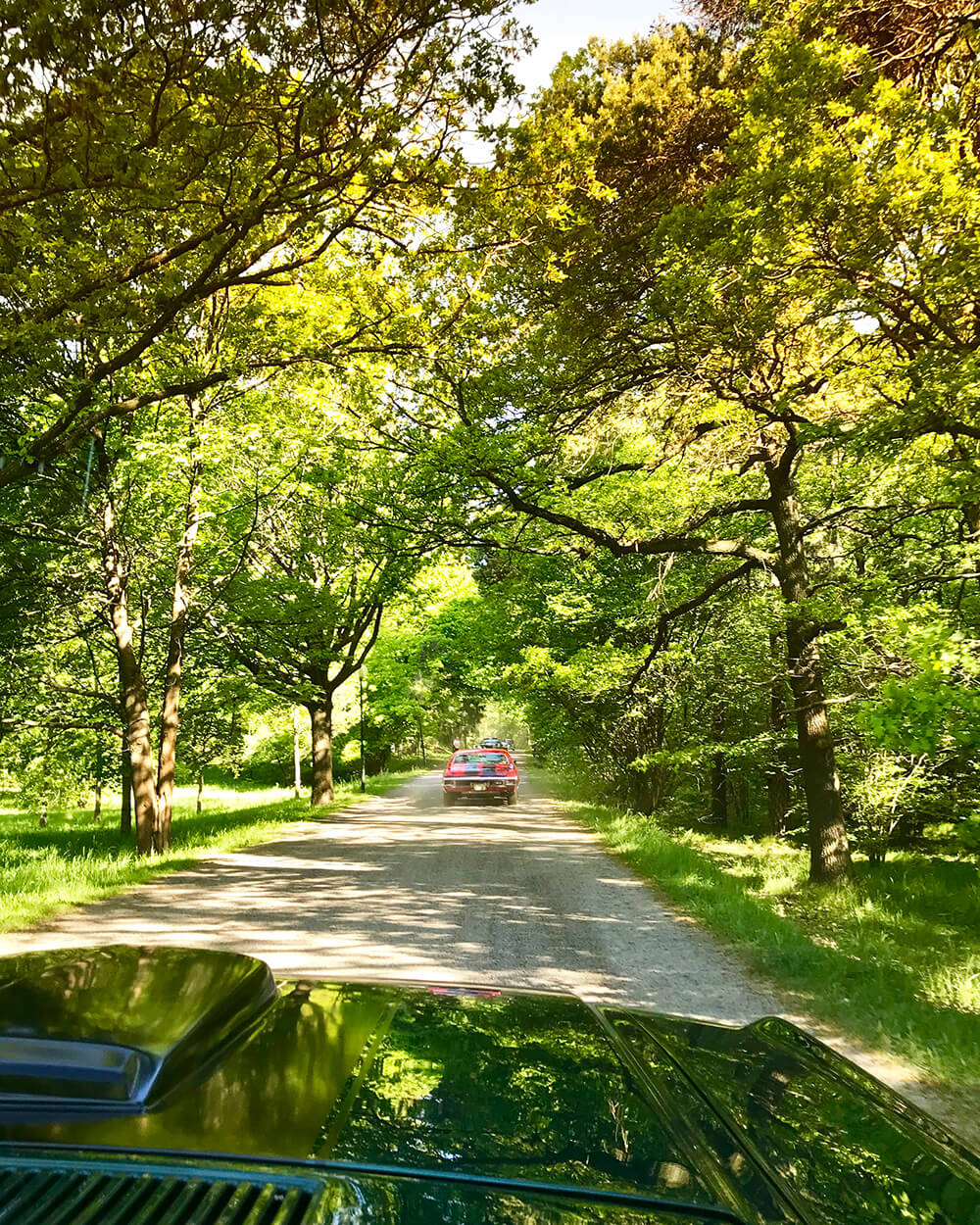 Gärdesloppet 2018 på Djurgården