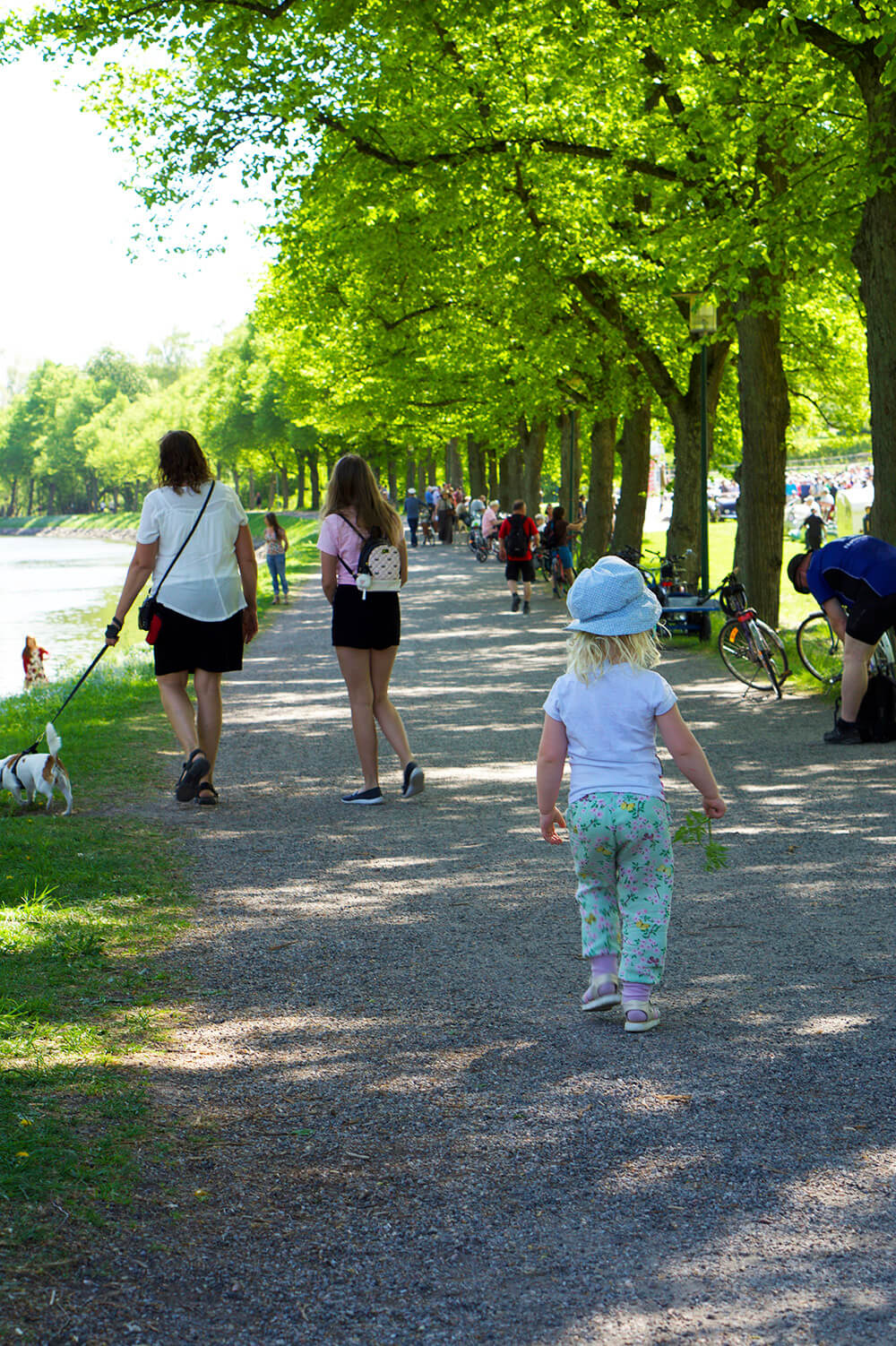 Gärdesloppet 2018 på Djurgården