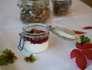 granola-risenta-1