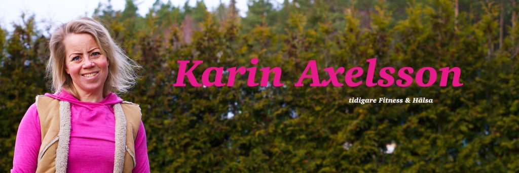 Karinaxelsson.se header