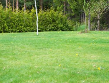 helgen-ljusglimtar-1