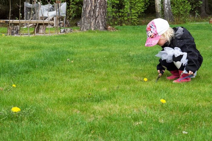 Barnen i trädgården