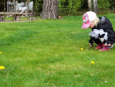 helgen-ljusglimtar-6